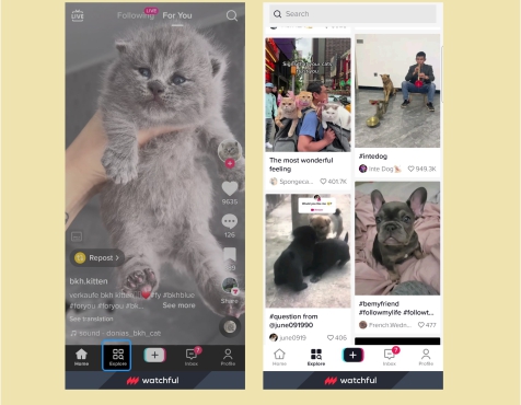 TikTok Launches A Series Of New And Exciting Features And Here’s What To Expect